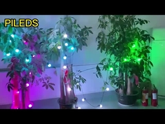 LED Christmas Light