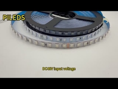 DC48V Flexible LED Strip Light 120 Degree Beam Angle for Versatile and Durable Lighting Solutions